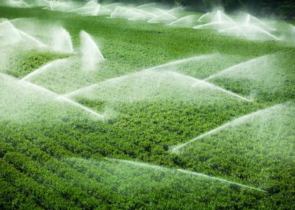 Best Garden Irrigation System Services-Qatar - picture 3