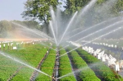 Best Garden Irrigation System Services-Qatar - picture 2